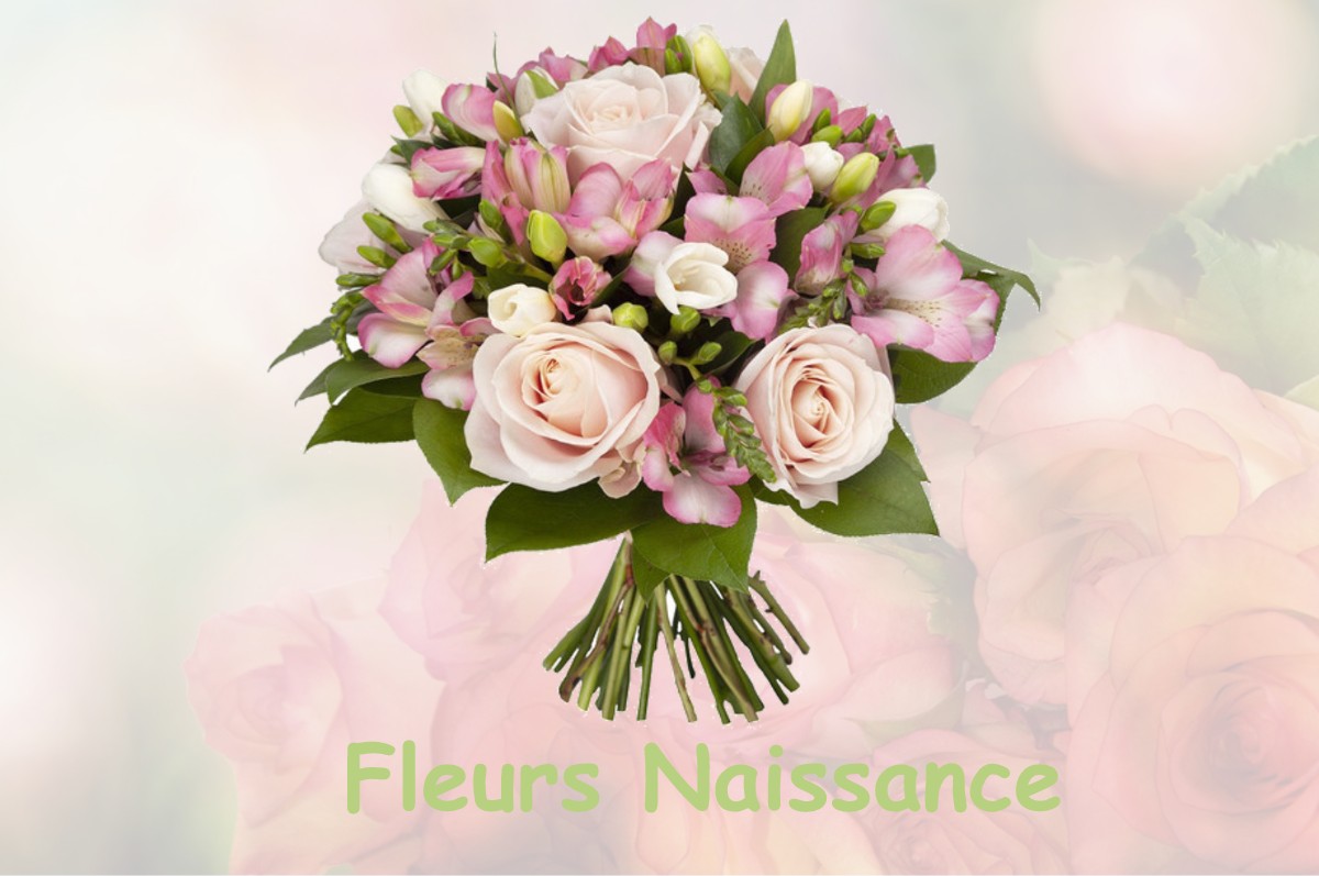 fleurs naissance MAISON-ROUGE